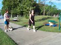 Dog aggression issues w/Dogtra pager E-collar Reggie