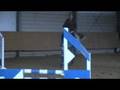 7 yo amateur horse for sale