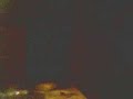 abduccion de pato