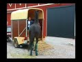 Hästar med Problem