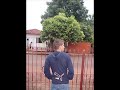 Click here to watch this video familia roba cena