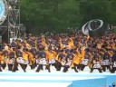 Yosakoi Yosakoi