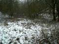 Paintball negdje u njemackoj sumi