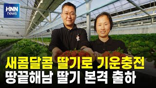 새콤달콤 딸기로 기운충전