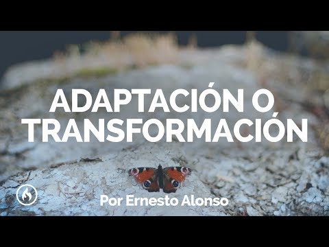Ver video