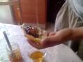 mohammad hoseyn sotoohian ghaza food david