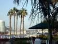 Caminando en Coronado California