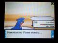 Pokemon D/P Wifi Battle #2: LuckyBucket (Marriland Forums)