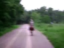 Jake on the Road