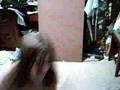 videos de comment/bloopers3