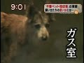 YouTubeサムネイル[wEIujbSl3tE] - 1枚目