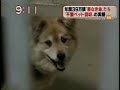 YouTubeサムネイル[wEIujbSl3tE] - 3枚目