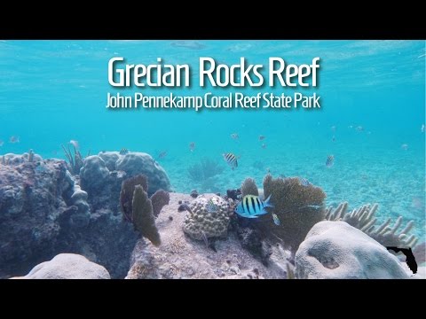 Snorkeling Grecian Rocks Reef - John Pennekamp Coral Reef State Park - Merevin