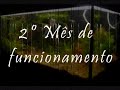 Aqui vai o video que registra o 5º mês de funcionamento do meu segundo aquario plantado. Agradeço o envio de sugestões e criticas. 