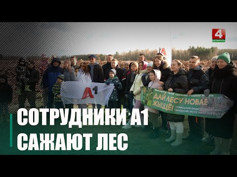 Коллектив компании А1 присоединился к республиканской акции «Дай лесу новае жыццё!» видео