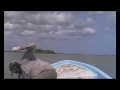 Shark Bait!  You\