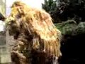 Orang Utan: Man of the Jungle
