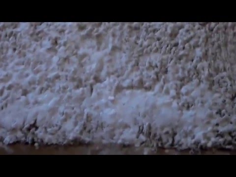 Pet Stain Remover