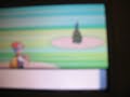 how to get burmy