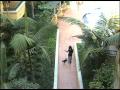 PALAZZO Westwood Village.mov