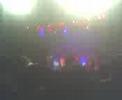 en el colonial viendo a los leales(L)