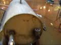 Bulk Carrier Holds Walkthrough