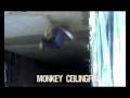 Monkey CeilingFlip