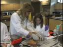 SDJA Squid Dissection