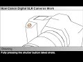How Canon Digital SLR Cameras Work - Microglobe.co.uk