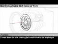How Canon Digital SLR Cameras Work - Microglobe.co.uk