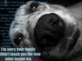 Pit Bulls