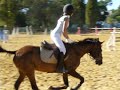 pomerol du vivier cso