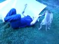 The wine Jump
