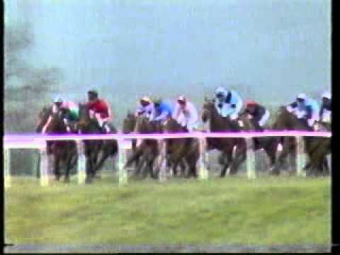 racing results cheltenham