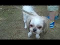 Click here to watch this video まーぶるといっしょ.flv