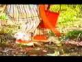 Chiquititas cantam a música 