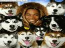 husky lerin d�nyas?