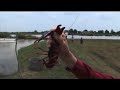 Crawfish from Louisiana Cajun Country with Esther Mae