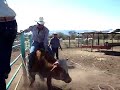 charrito