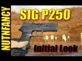 Sig P250: Accuracy on the Double