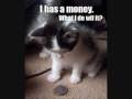 videos de Atom Bomb Funny Cats & Dogs (Fish, Duck & Ducklings)