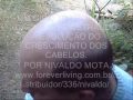 PROGRAMA CAPILAR FLP 7º MES GIRO 3D NO COURO CABELUDO - POR NIVALDO MOTA