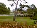 Dartington Hall Dartington Hall