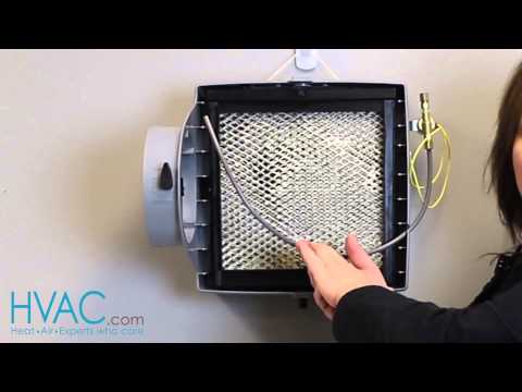 how to drain humidifier