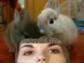Lonleygirl15 and the brain eating bunnies