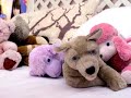 adicolor pink directed by Charlie White adicolor pink directed by Charlie White