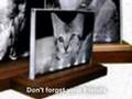 3d Sub-Surface laser Photo engraving and Photo Gifts