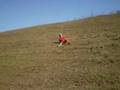 Esqui de Morro