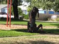 Homebums being Homebums