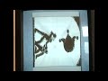 Click here to watch this video Let's Play #34: Phoenix Wright: Ace Attorney WiiWare Part 36
